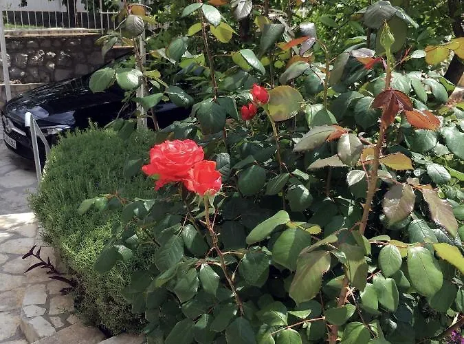 With A Parking Space Starigrad, Paklenica - 18492